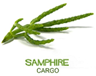 Samphire Cargo